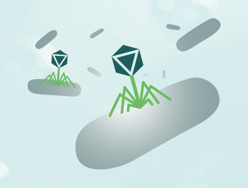 �ɾ����ɸѡ