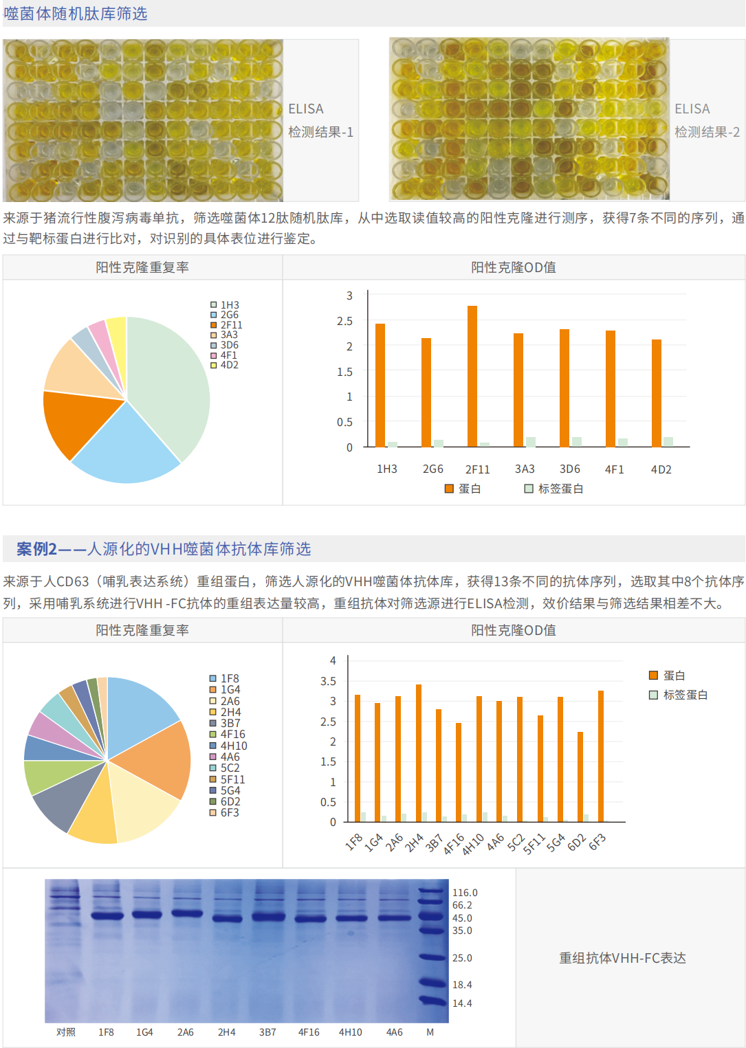 �ɾ�������Ŀ�ɸѡ