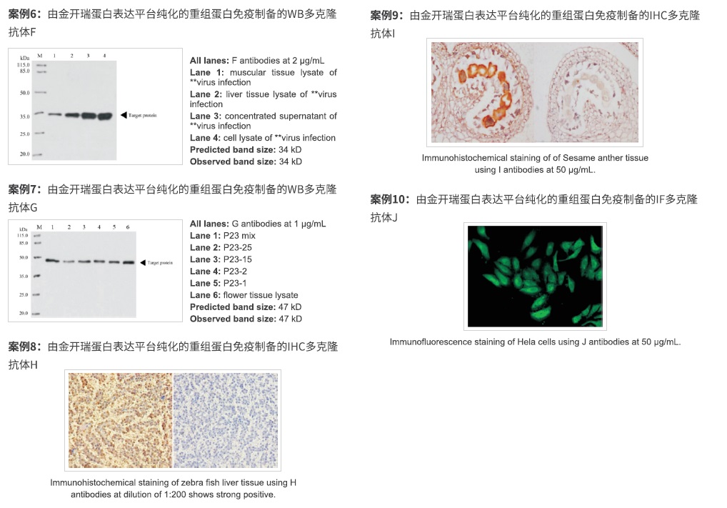 ���¡����