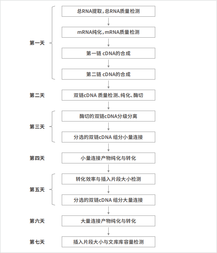 ������ʱ - �������ǲ�!