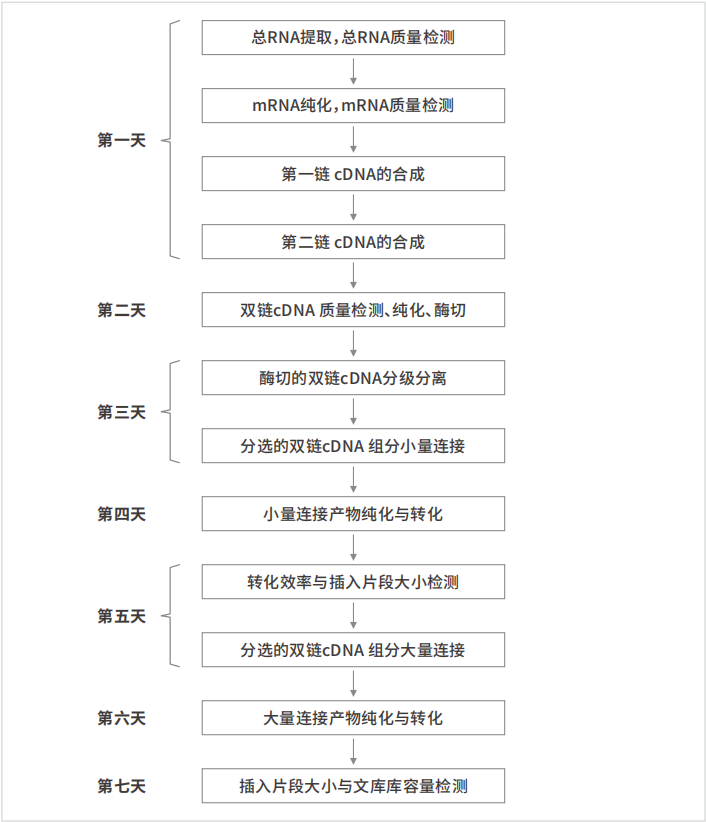 ������ʱ - �������ǲ�!