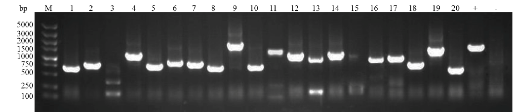 ��������ʱ��ĸ˫�ӽ������Լ���